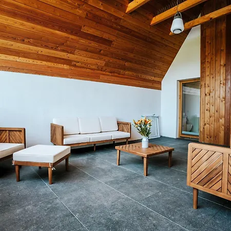 Διαμέρισμα Visitzakopane Alpejski Deluxe *