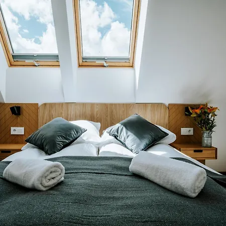 Visitzakopane Alpejski Deluxe Apartment